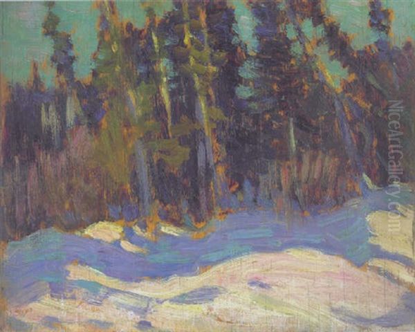 The Swamp, Algonquin Park Oil Painting by James Edward Hervey MacDonald