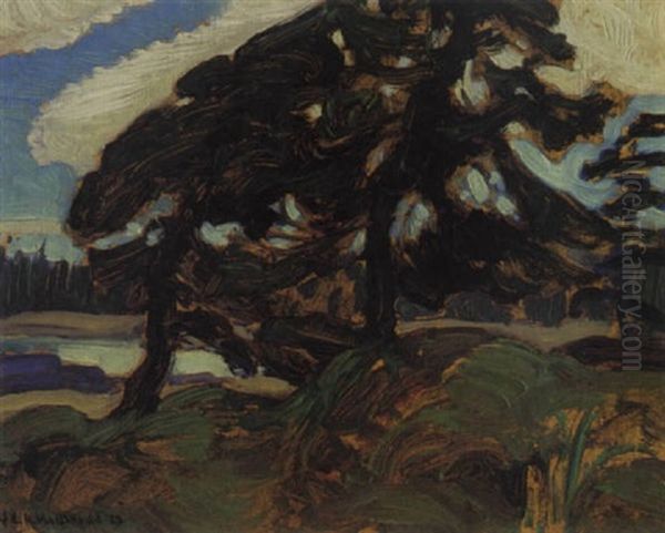 Wnid Blows Pines, N.s. Oil Painting by James Edward Hervey MacDonald