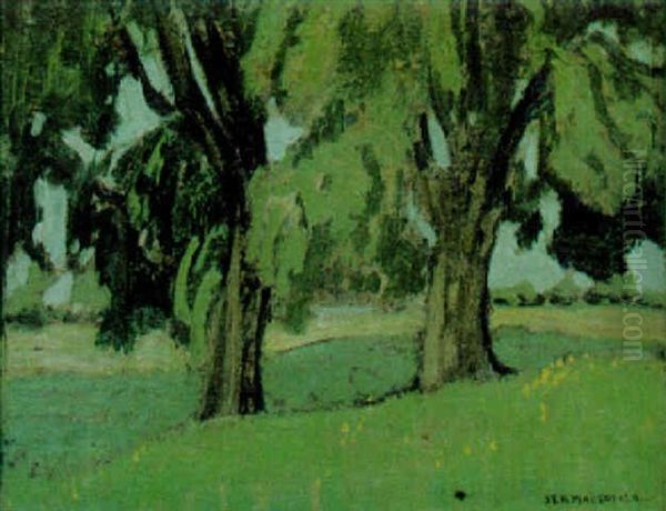 Elms, Thornhill Oil Painting by James Edward Hervey MacDonald