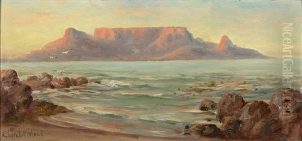 View Of Cape Town Oil Painting by Edward Clark Churchill Mace