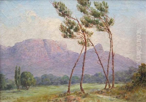 Paysage Aux Pins Oil Painting by Edward Clark Churchill Mace