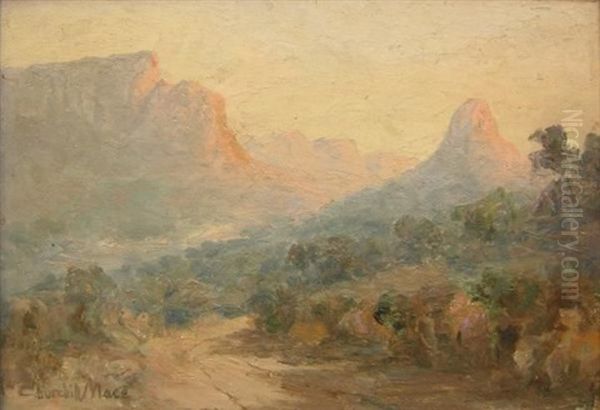 View Of Mountains And A Valley by Edward Clark Churchill Mace