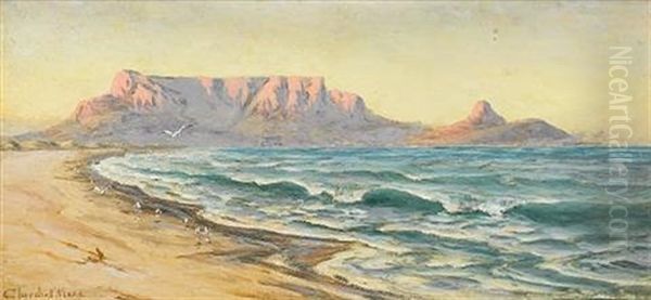 Evening Glow, Table Mountain Oil Painting by Edward Clark Churchill Mace