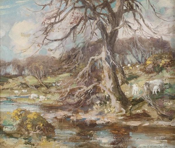 Springtime In Galloway, The Buckland Burn Oil Painting by William Stewart MacGeorge