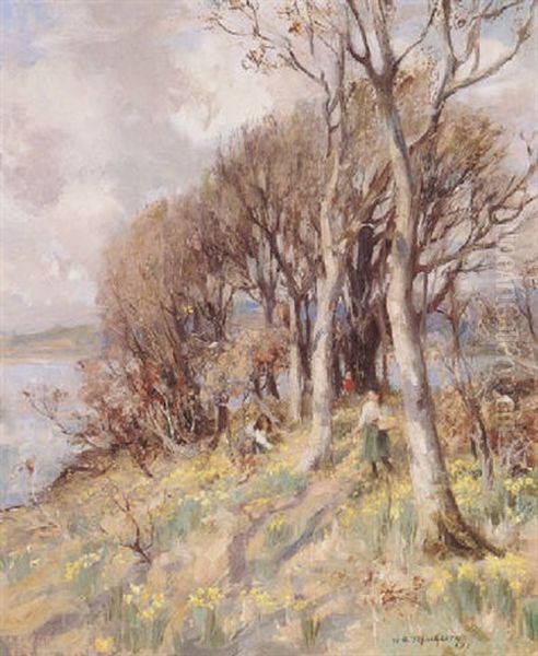 A Host Of Golden Daffodils Oil Painting by William Stewart MacGeorge