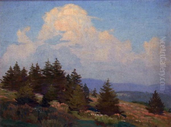 Hillside And Spruce Oil Painting by Norwood Hodge Macgilvary