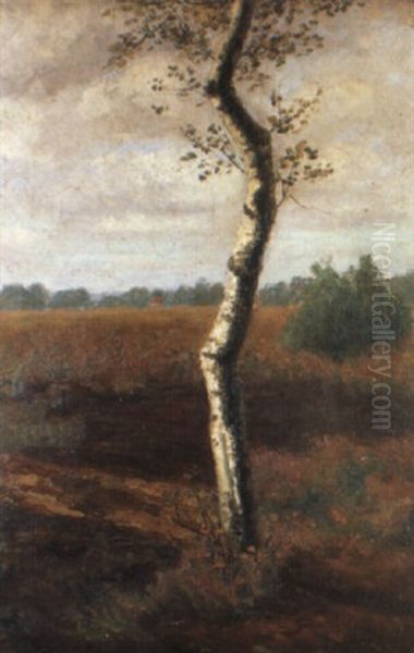 Birke Vor Herbstlich Gef,rbter Moorlandschaft Oil Painting by Fritz Mackensen