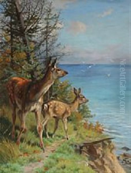 A Couple Of Deers Standing At The Edge Of The Forest Oil Painting by Adolf Heinrich Mackeprang