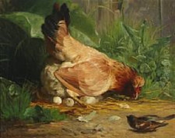 A Hen Guarding Her Eggs Oil Painting by Adolf Heinrich Mackeprang