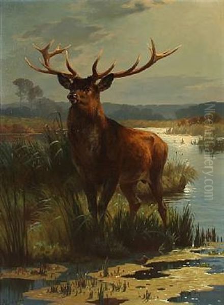 A Stag Oil Painting by Adolf Heinrich Mackeprang