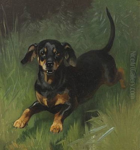 A Dachshund Oil Painting by Adolf Heinrich Mackeprang