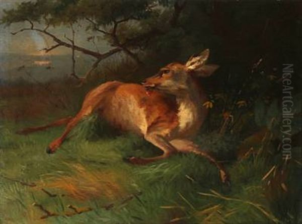 A Shot Deer Oil Painting by Adolf Heinrich Mackeprang