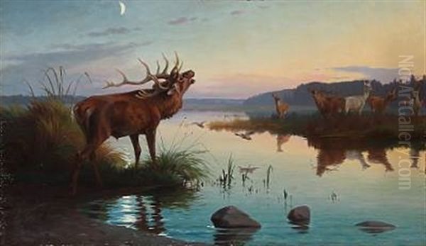 Evening Atmosphere At A Forest Lake With Roaring Stag Oil Painting by Adolf Heinrich Mackeprang