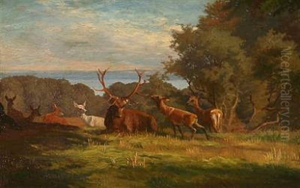 Summer Day With Stags In A Forest Oil Painting by Adolf Heinrich Mackeprang