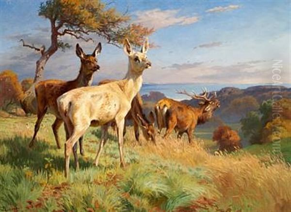 Deer In Dyrehaven (the Deer Garden) North Of Copenhagen by Adolf Heinrich Mackeprang