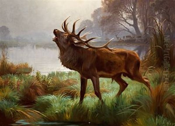 A Roaring Stag Standing By A Lake Oil Painting by Adolf Heinrich Mackeprang