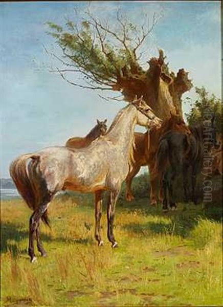 En Ridehest. Heste Ved Et Gammelt Egetrae Oil Painting by Adolf Heinrich Mackeprang