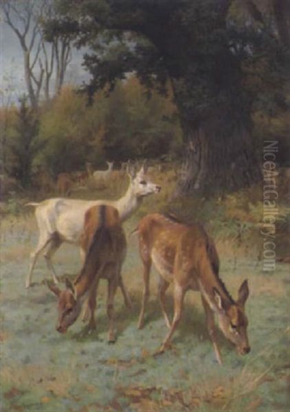 Damwild Oil Painting by Adolf Heinrich Mackeprang