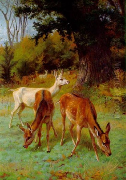 Damwild Oil Painting by Adolf Heinrich Mackeprang