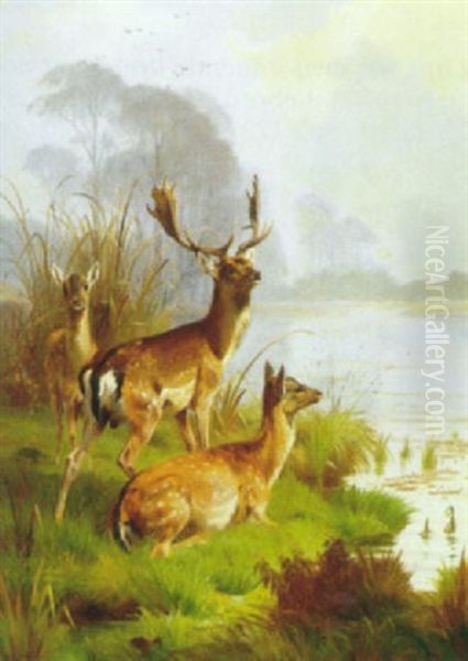 Kronvildt Ved En Sobred Oil Painting by Adolf Heinrich Mackeprang