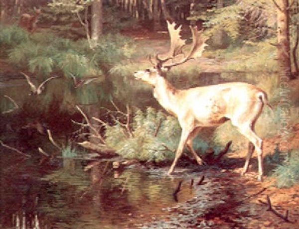 Kronhjort Ved Skovso Oil Painting by Adolf Heinrich Mackeprang