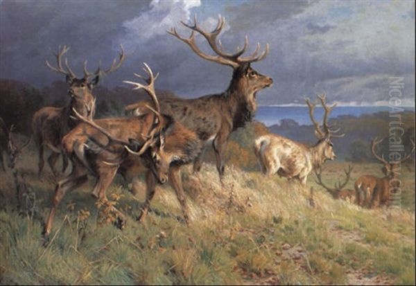 Landskab Med Kronvildt Oil Painting by Adolf Heinrich Mackeprang