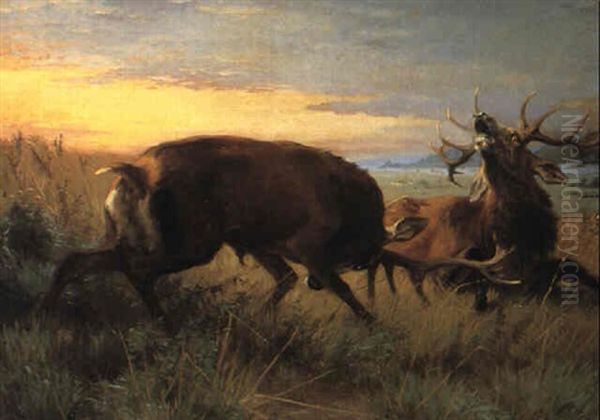 Kronhjorte I Kamp Oil Painting by Adolf Heinrich Mackeprang