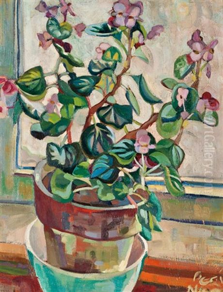 Begonias (recto/verso) Oil Painting by Pegi Nicol Macleod