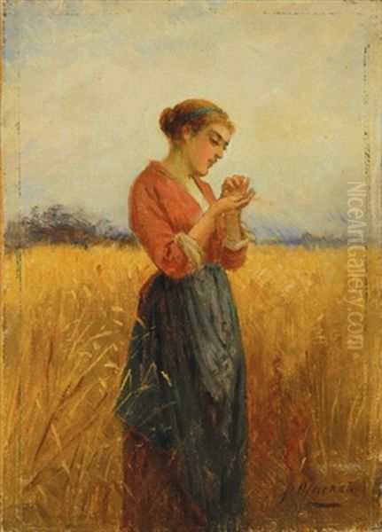 Preparatory Oil Sketch For Harvest Time Oil Painting by Peter Macnab