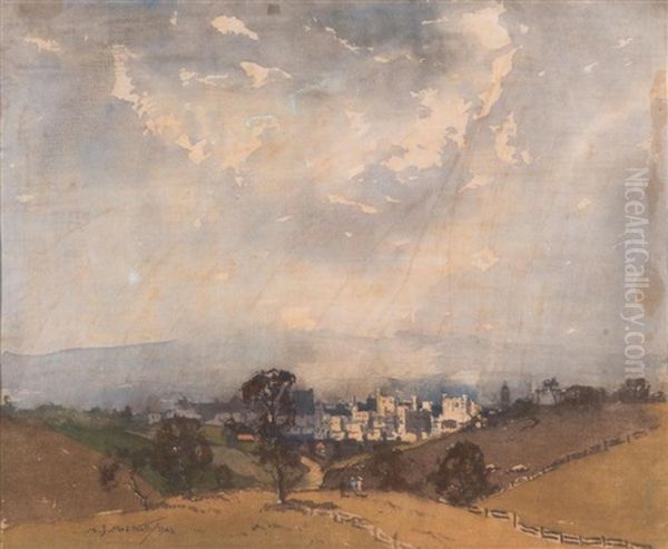 A View Of Adelaide Oil Painting by Matthew James Macnally