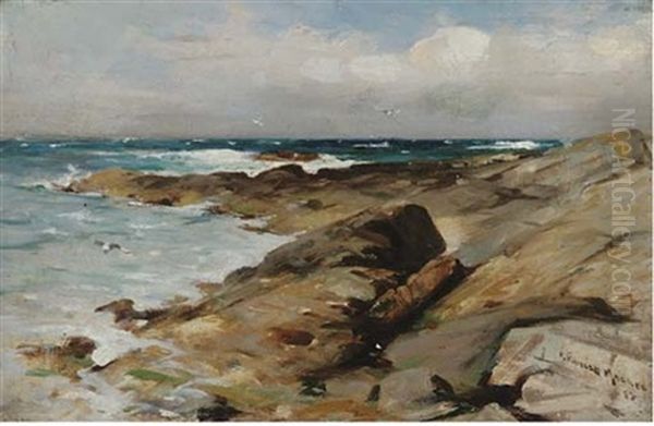 Gulls Above A Rocky Coastline Oil Painting by Robert Russell Macnee