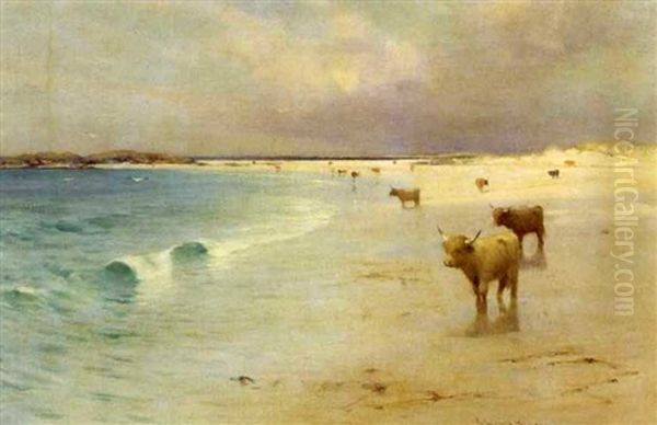 Longhorn Cattle On A Beach Oil Painting by Robert Russell Macnee