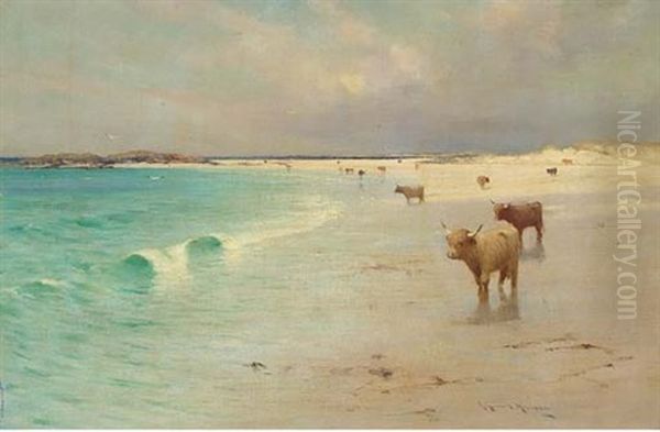 Highland Cattle On The Shore Oil Painting by Robert Russell Macnee