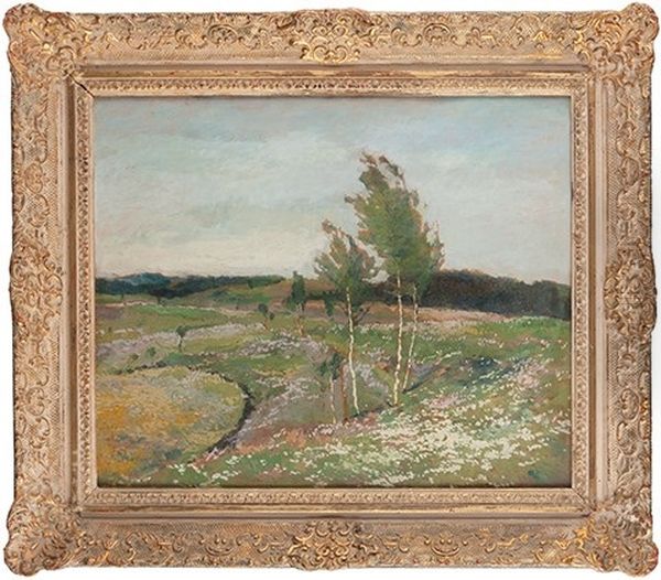 Birch Trees On A Blooming Meadow Oil Painting by Gustav Macoun