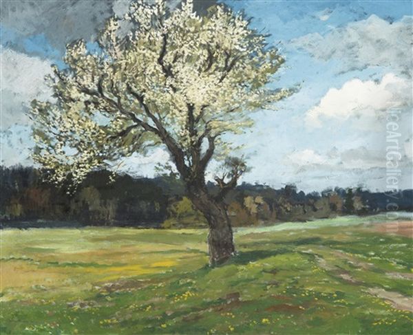 Pear Tree In Bloom Oil Painting by Gustav Macoun