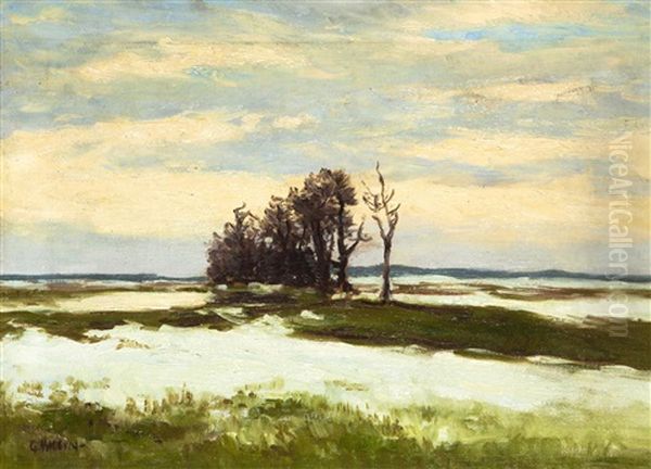 Vorfruhling Oil Painting by Gustav Macoun