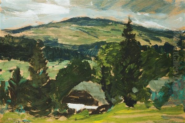 Motiv Aus Dem Bohmerwald Oil Painting by Gustav Macoun