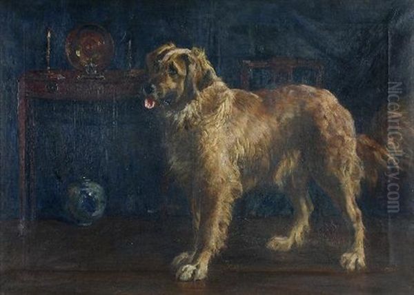 Study Of A Golden Retriever In A Drawing Room Oil Painting by Percy Macquoid