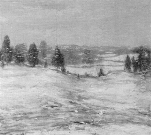 Cedar  Lane, Winter by Elmer Livingston Macrae