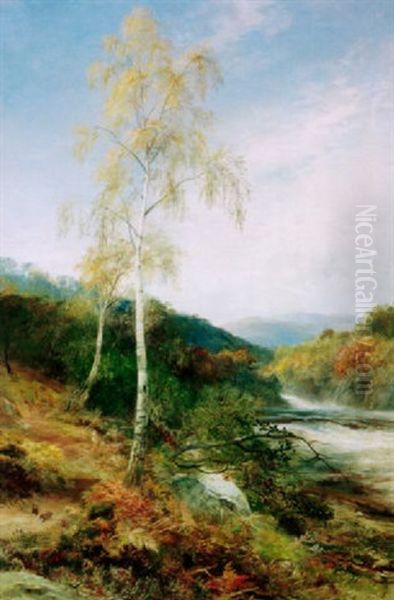 Birks And Bracken Oil Painting by John MacWhirter