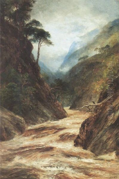 Glen Affrica, A Highland Ravine Oil Painting by John MacWhirter