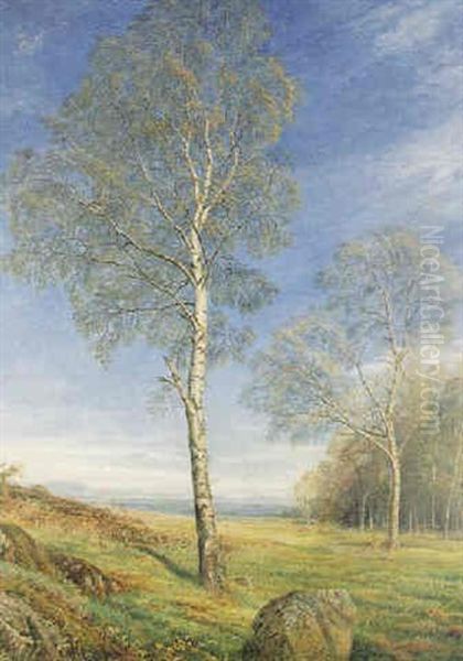 Birch Trees Budding Oil Painting by John MacWhirter