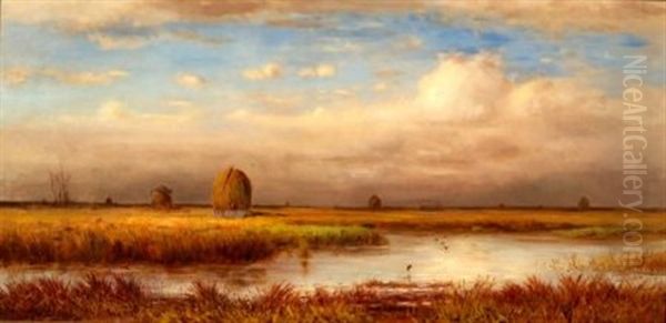 Marshes by William Ferdinand Macy