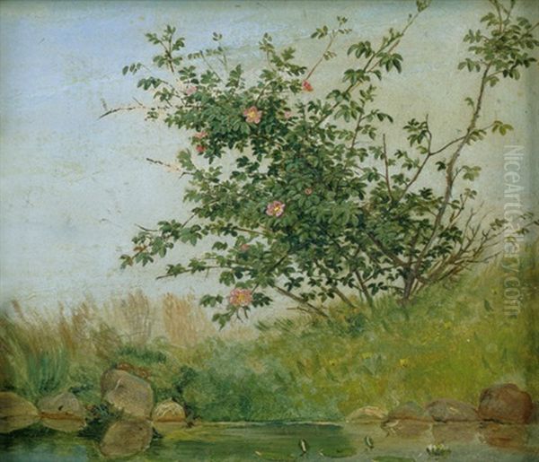 Rosenstrauch An Einem Weiher Oil Painting by Andreas Peter Madsen