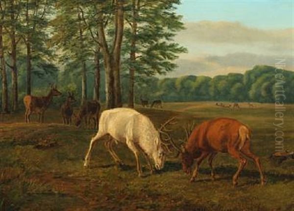 Landscape With Two Deer In Battle Oil Painting by Andreas Peter Madsen