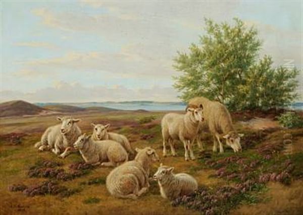 Sheep In The Field With Flowering Heather Oil Painting by Andreas Peter Madsen