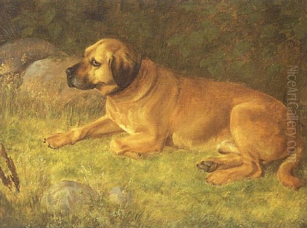 Liggende Hund Oil Painting by Andreas Peter Madsen