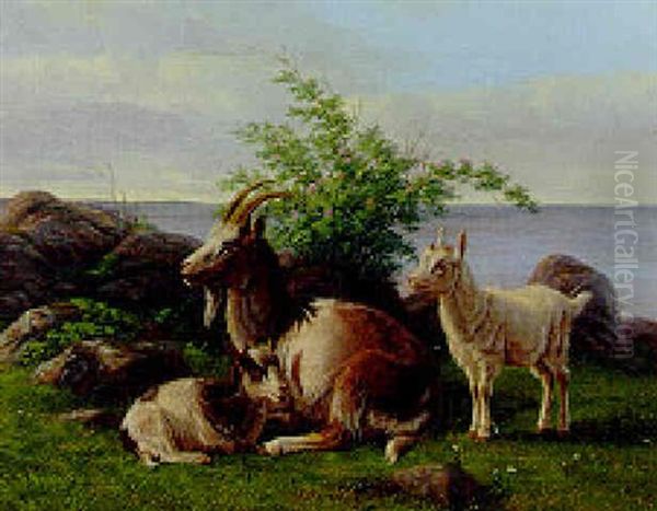 Goats On A Rocky Cliff Oil Painting by Andreas Peter Madsen