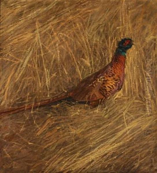 A Male Pheasant In A Field Oil Painting by Christian Juel Madsen