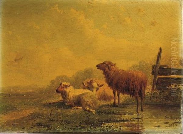 Sheep Resting In The Pasture Oil Painting by Bernardus Gerardus Ten Berge